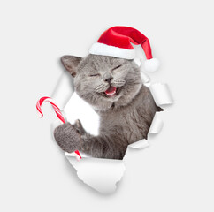 Poster - Smiling kitten wearing red santa hat looking through the hole in white paper and holding candy cane