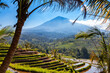 rice terraces paddies fields on asia island bali indonesia with volcano