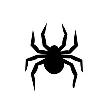 
Spider. Black Silhouette Of A Spider. Flat Spider. Close-up Of A Spider. Vector Spider. Transparent Background.
