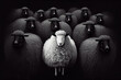A herd of black sheep with a white one in the middle, generative AI