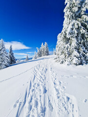 Wall Mural - Ski touring uphill to mountain Smrekovec  (Slovenia)