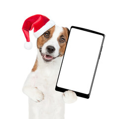 Poster - Jack russell terrier puppy wearing santa hat holds big smartphone with white blank screen in it paw, showing close to camera. isolated on white background