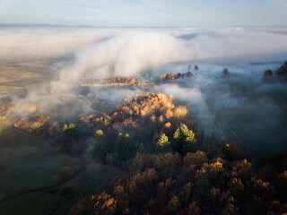 Poster - Foggy forest at sunrise in autumn. Aerial view colorful trees in mist.  View from drone of mountain valley in low clouds