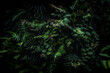 © Anna Zaro - Dark green leaves. Thick tropical green. Natural, moody background. Rainforest plants.