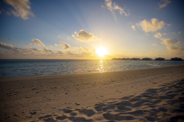 Wall Mural - Idyllic Beach with Palm Treesat the Maldives, Indian Ocean