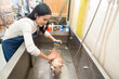 © tonefotografia - Female professional groomer bathing dog at pet spa grooming salon