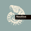 vector logo sign with drawing of ancient petrified ammonite shells or nautilus pampilius. exhibits of the paleontological museum from extinct marine mollusks and animals of the sea and ocean fauna