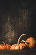 Ripe orange pumpkins and a dark background