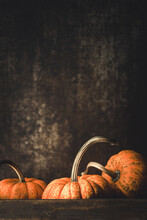 Ripe Orange Pumpkins And A Dark Background