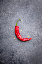 One chilli pepper over gray background