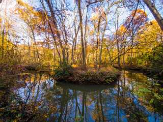  autumn trees reflected in water