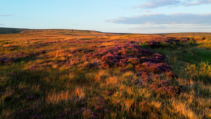 Wall Mural - The beauty of Peak District National Park in England - drone photography