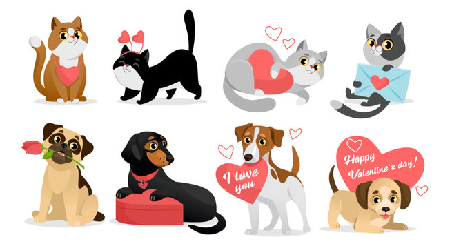 Wall Mural - Set of cute pets for Valentines day. Romantic cat and dog characters with love cards and gifts. Adorable animals collection for February holiday on white background. Cartoon style vector illustration.