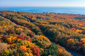 Wall Mural - Aerial view from a drone of an autumn forest near the sea.