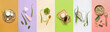 Set of fresh aloe vera leaves and natural cosmetic products on color background