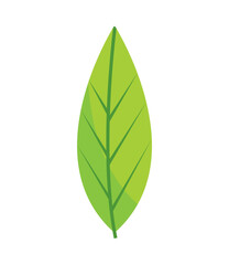 Sticker - leaf vector icon