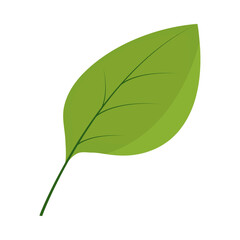 Poster - leaf flat icon