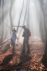 Wall Mural - happy dog and owner in foggy forest