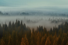 Morning Mist Over A Beautiful Pine Forest. Ethereal Landscape Created With Generative AI Technology.
