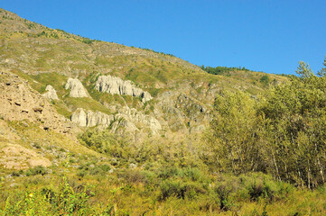 A small birch forest at the foot of a high cliff on a warm autumn day.