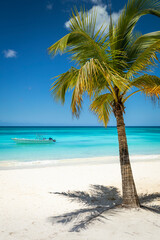 Wall Mural - Tropical paradise, sand beach in caribbean Saona Island, Punta Cana, Dominican