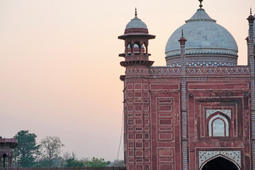 Wall Mural - Mosque of the Taj Mahal at the western side of the monument. Exterior carvings of plant motifs on the walls of the mosque.