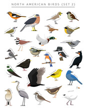 North American Birds Set Cartoon Vector Character 2