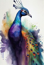 Closeup Of Peacock Colorful Feathers Watercolor, Generative Ai