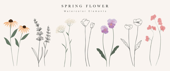 Fototapete - Watercolor hand drawn botanical vector set. Collection of abstract spring wild flowers, grass, leaf branch, floral leaves in minimal style. Design illustration for logo, wedding, invitation, decor
