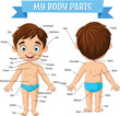 Vocabulary of little boy body parts