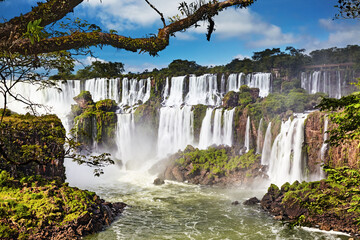 Wall Mural - Iguassu Falls, view from Argentinian side