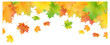 canvas print picture - Herbst Blätter Hintergrund Banner