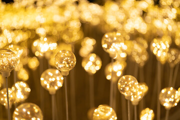 Poster - Flowers. Abstract bokeh blurry background for festive celebration concept. illumination