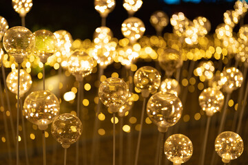 Poster - Flowers. Abstract bokeh blurry background for festive celebration concept. illumination