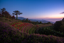 Twilight View From Huai Nam Dang National Park In The Morning, Kuet Chang, Mae Taeng District, Chiang Mai, Thailand
