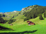 Fototapeta  - old mountain chalet landscape in the Alps