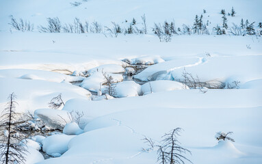 Wall Mural - Rocky Mountain near Lake Louise