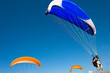 © Cavan Images - Flying paragliders in Santa Barbara, CA.