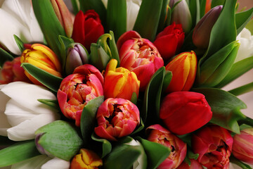  Beautiful bouquet of colorful tulip flowers, closeup