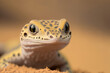 Sand gecko stenodactylus petrii basking in the sand in close up. Generative AI