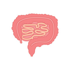 Canvas Print - Intestine Illustration icon