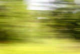 Fototapeta Sport - Green nature in summer in motion.