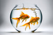 Two goldfish leaping for freedom in a fishbowl on a white backdrop. taken using a 5D Mark III in a studio. Generative AI