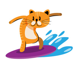 cat playing surf