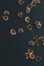 High Angle View Of Hollyhock Seeds On Table