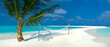 © Cavan Images - Hammock near palm tree on beach