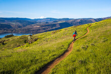 COLUMBIA RIVER GORGE, OR, USA. A Young Woman Rides A Mountain Bike On A Single-track Trail Through Green Grass With A Large River In The Distance.