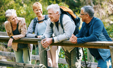 Elderly, People Hiking And Happy In Park With Fitness Outdoor, Relax On Bridge While Trekking In Nature Together. Health, Wellness And Hiker Group, Sport And Active Lifestyle Motivation With Cardio.