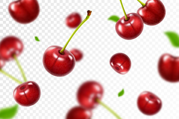 Wall Mural - cherry background. flying berries with blurry effect. red cherries falling on transparent background