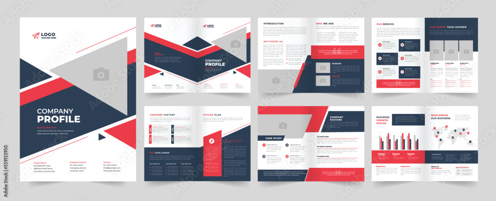 Company profile Layout profile Company template brochure design Stock ...